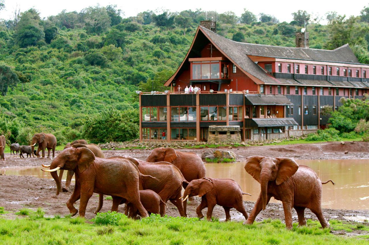 The Ark Lodge Ниери Екстериор снимка