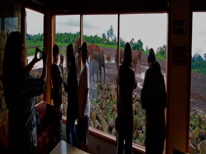 The Ark Lodge Ниери Екстериор снимка